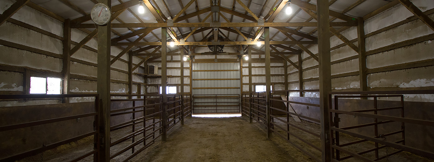 Calving Barn Cameras